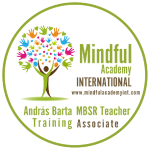 Mindful Academy International, MBSR teacher